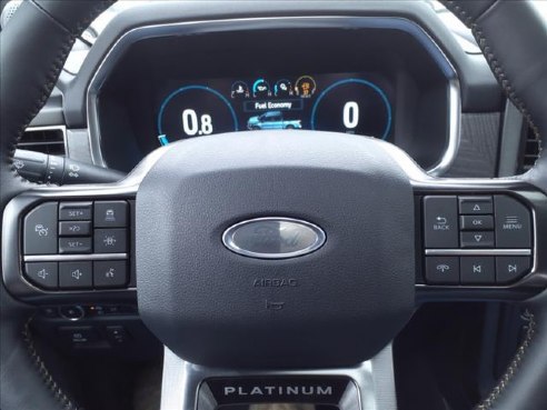2023 Ford F-150 Platinum , Hondo, TX