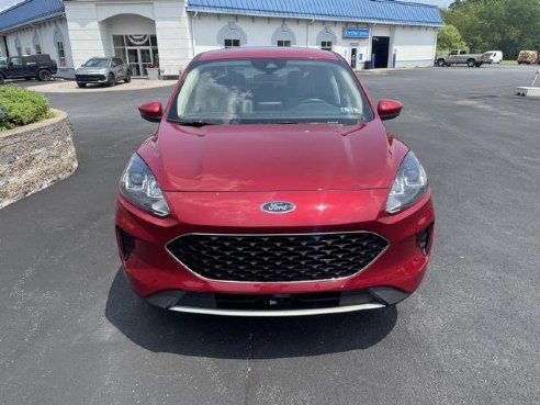 2020 Ford Escape SE Red, Mercer, PA